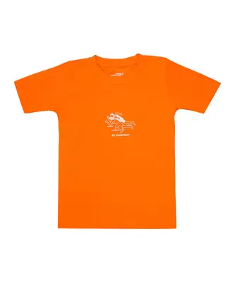 Clubkleding - AV Castricum